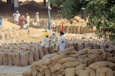 Tahıl, mandi, Punjab, Hindistan gündüz görüşü 