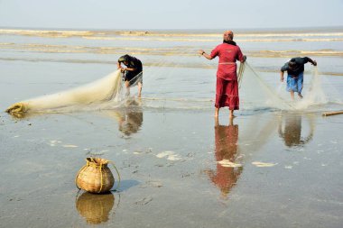 Çalışan balıkçı kadınlar, Kalagam Sahili, Valsad, Gujarat, Hindistan, Asya  