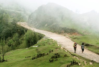 Gouribas yolu, Sandakfu Sandakphu, Batı Bengal, Hindistan 