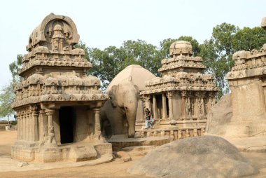 7. yüzyılda kurulan beş Rathas Pancha Rathas tapınağı; Mahabalipuram Mamallapuram; Tamil Nadu; Hindistan