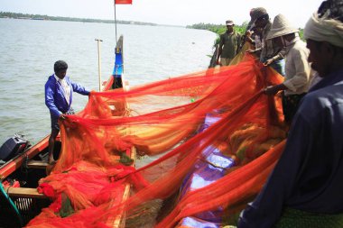 Balıkçılar balık ağını, Vypeen 'i, Koçin' i, Kerala 'yı, Hindistan' ı temizliyor. 