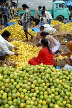 Şehir meyva ve sebze pazarı, Bangalore, Karnataka, Hindistan 