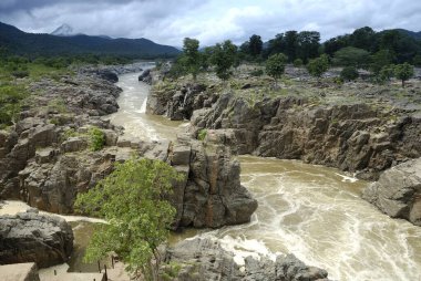 Hogenakkal 'dan sonra Kaveri nehri Mettur barajına doğru akar; Tamil Nadu; Hindistan