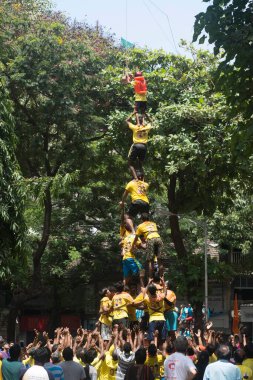 İnsan piramidi kırılmış safra kesesi, mumbai, maharashtra, Hindistan, Asya 