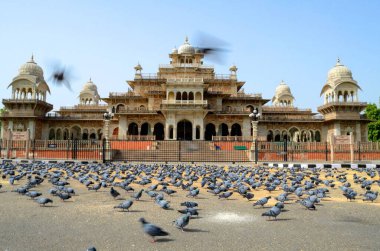 Albert Hall Jaipur Rajasthan Hindistan