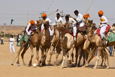 Deve Polo Maçı, Çöl Festivali 2004, Jaisalmer, Rajasthan, Hindistan 