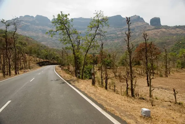 Malshej Ghat, Maharashtra, Hindistan 'daki 222 numaralı otoyolda.