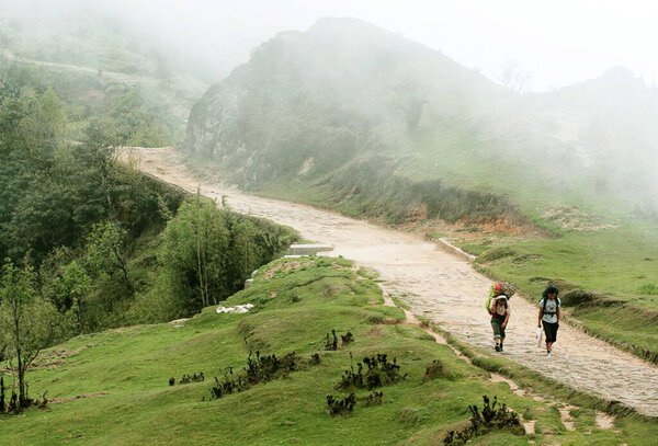 Way to Gouribas, Sandakfu Sandakphu, West Bengal, India 