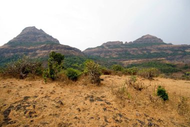 Yazın dağ; malshej ghat; Maharashtra; Hindistan