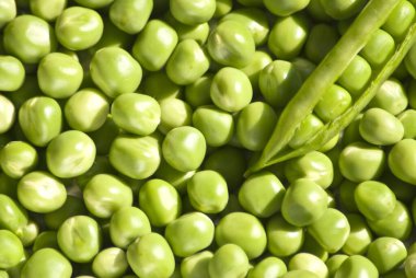 yeşil bezelye pisum sativum ve kabuk