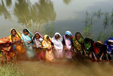 Kadınlar balıkçılık faaliyetinde, Carm Daksh, Bilaspur, Chhattisgarh, Hindistan 