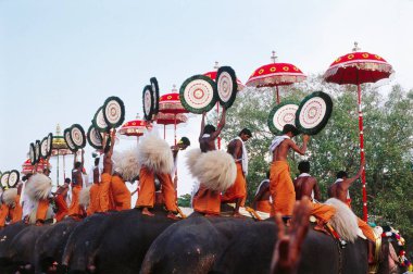 Trichurpooram pooram , Elephants March procession of bejeweled temple Festival , Kerala , india clipart