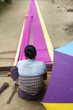 El işi; el dokuması üzerinde çalışan kadın; Aksiyon Kuzeydoğu Tröstü (ANT); Bongaigaon; Assam; Hindistan;