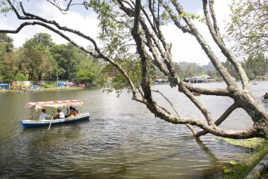 Kodai Gölü 'ndeki Kodai Gölü' nde deniz seviyesinden 2133 metre yükseklikteki Palani tepelerinde yer almaktadır.