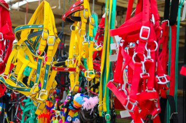 Rajasthan, Hindistan 'da at binmek için kullanılan renkli kemerler.