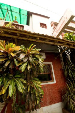 Calcuttas Bengali mutfağı, Hindistan 'ın batısındaki Kalküta; Elgin yol bölgesindeki prestijli bir restoranda hizmet vermektedir. 