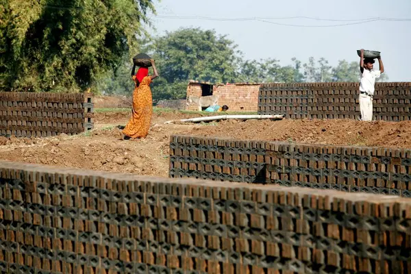 stock image Workers including women at the brick factory in a village of Sangli ; Maharashtra ; India