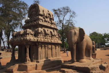 Nakul Sahadeva Ratha and elephant statue at  Pancha Rathas carved during the reign of King Mamalla (Narasimhavarman I; c. 630 - 670) Monolith rock carving temples ; Mahabalipuram ; District Chengalpattu ; Tamil Nadu ; India UNESCO World Heritage Site clipart