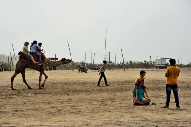 Deve yarışı, Dumas plajı, Surat, Gujarat, Hindistan, Asya 