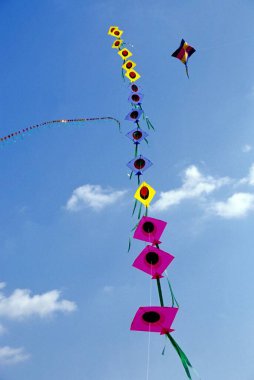 Kite Festivals, Rajkot, Gujarat, India clipart