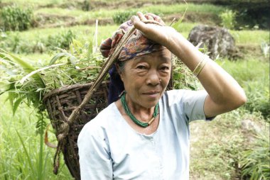 Kova taşıyan kırsal bir kadın, Pastanga; Sikkim, Hindistan