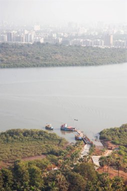 Gorai deresi ve mangrov ağaçları; Borivali; Bombay Mumbai; Maharashtra; Hindistan