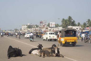 Sokak sahnesi, puri, orissa, Hindistan, Asya 