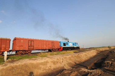 Mal trenleri Adani Power, Mundra, Kutch, Gujarat, Hindistan 'da 