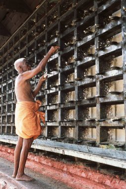 Ambalapuzha tapınağı, Alappuzha alleppey, Kerala, Hindistan 
