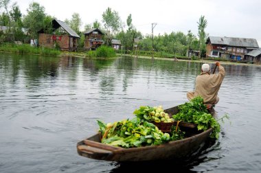 Kaşmir sebze satıcısı dal gölünde kano satıyor, Srinagar, Jammu ve Kashmir, Hindistan