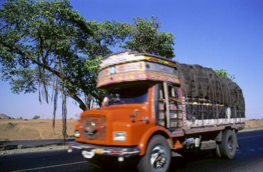 Hindistan kırsalında gündüz vakti kamyonet 