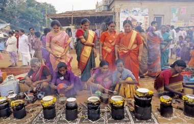 Pongal Festivalleri, Tamil Nadu, Hindistan 