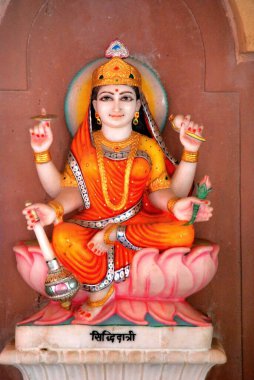 Statue of goddess Siddhidatri, India  clipart