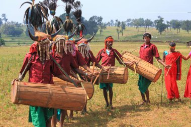 Bizon boynuz dansçıları, bastar, chhattisgarh, Hindistan, Asya