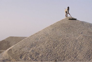 Tuz bitkisi, tuz kalçası hazırlama, biraz kutch, gujarat, Hindistan 