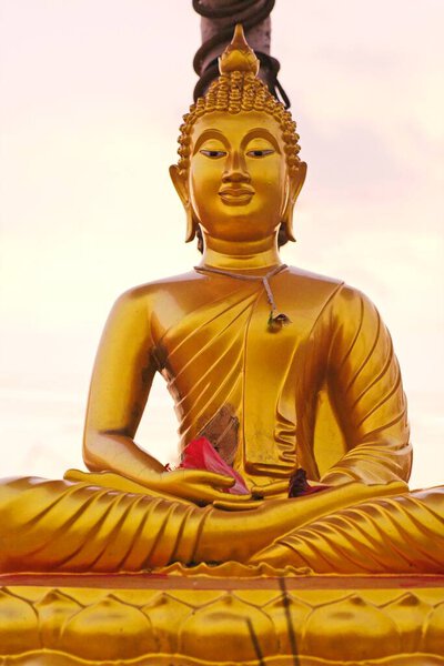 Golden Statue of lord Buddha ; Kapilawastu ; UNESCO World Heritage lord Buddhas birthplace at Lumbini ; Nepal 