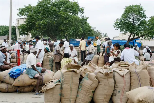 stock image Agricultural products are ready for transportation, Tamil Nadu, India 