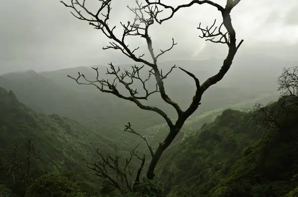 stock image Darshan point, Amba Ghat, Shahuwadi, Kolhapur, Maharashtra, India Asia