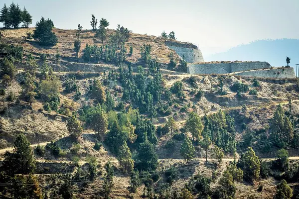 Zig zag yolu, Mukteshwar, Nainital, Kumaon, Uttarakhand, Hindistan