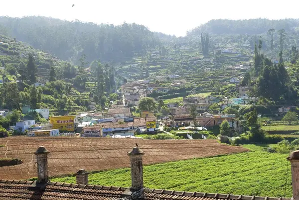 stock image Agricultural field in Ooty ; Nilgiris ; Tamil Nadu ; India