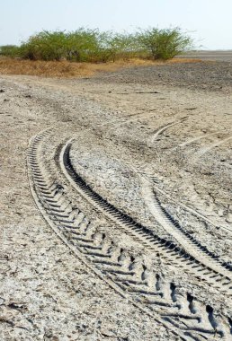 Gündüz vakti beyaz kum yolundaki lastik izlerinin yakınlaştırılması