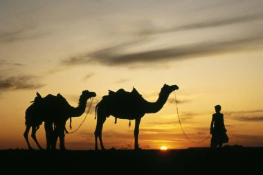 Sam Sand Dunes 'da günbatımı, Sam, Jaisalmer, Rajasthan, Hindistan