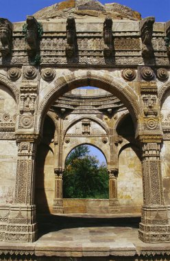 Nagina Mescidi yakınlarındaki Roza, Champaner Panchmahal, Gujarat, Hindistan 