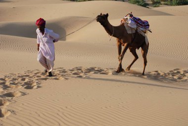 Man with camel climbing on sand dune, Khuri, Jaisalmer, Rajasthan, India  clipart