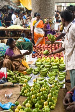 Tindivanam, Tamil Nadu, Hindistan 'daki platformda meyve satan bir kadın. 