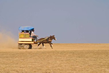 Masa arazisinde at arabası gezisi, Panchgani, Satara Bölgesi, Maharashtra, Hindistan 2008 