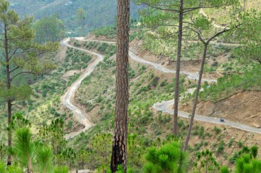 Virajlı yollar, Papersali, Almora, Uttarakhand, Hindistan, Asya 