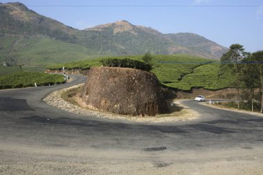 Saç tokası Munnar 'dan Periyar' a giden yolun dairesel kıvrımlarını Latince Camellia sinensis, Tea Gardens tepeleri, Kerala, Hindistan 