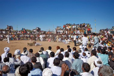 İnsanlar Bakh Mal Akhada 'nın Shivratri panayırı, Kutch, Gujarat, Hindistan' da güreşmesini izliyor. 