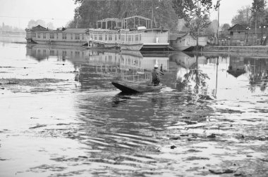 Kaşmir kürekli tekne, Nagin Gölü, Dal Gölü, Srinagar, Kaşmir, Jammu ve Kaşmir, Hindistan, Asya